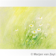 Postkort fra Marjan van Zeyl, Mercurius